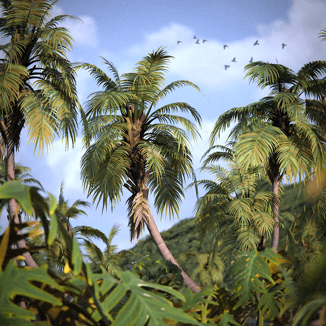 Tropical Plants