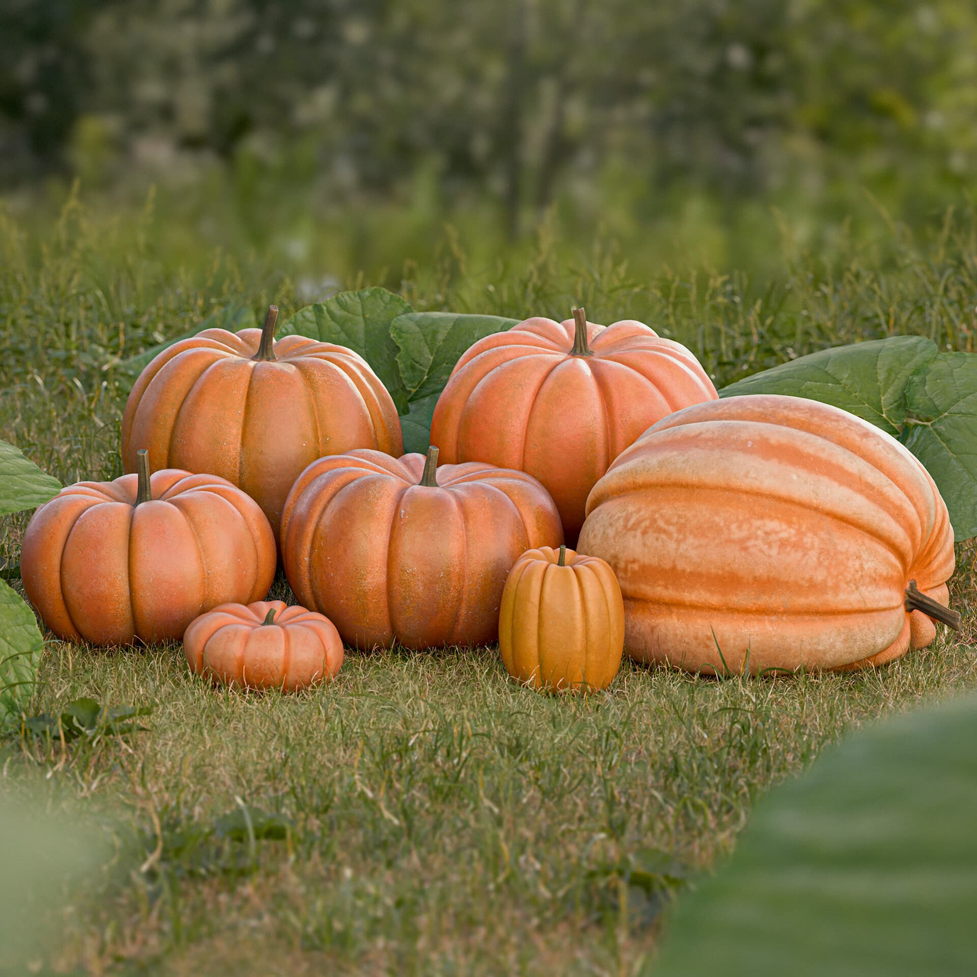 Procedural Pumpkins