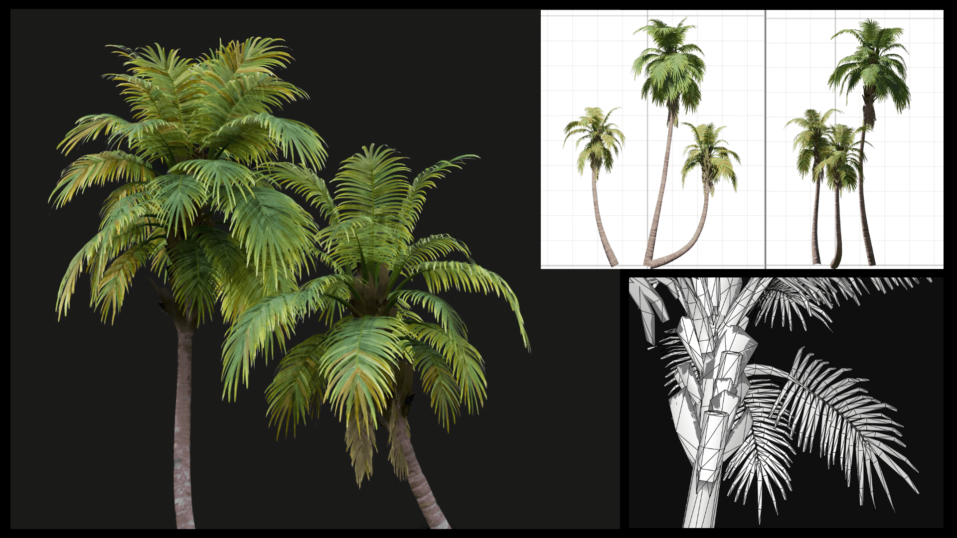 Tropical Plants image 1