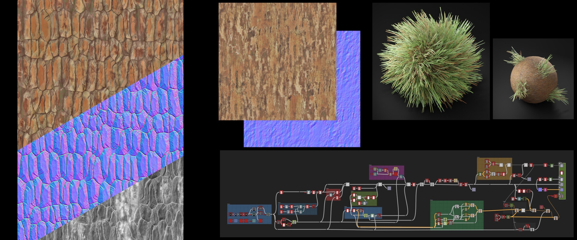 Pine Trees, branch study image 2