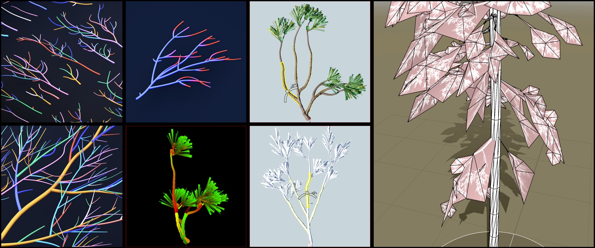 Pine Trees, branch study image 3